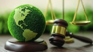 cevre-kanunuharfiyat-dokme-idari-para-cezasina-itiraz